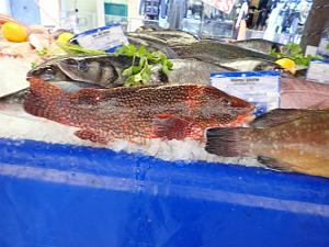 TOULON 21 01 2021  (28)